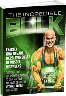 covers-3d-the-incredible-bulk-main-manual