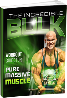 covers-3d-the-incredible-bulk-training-manual