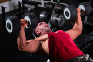 db press intense