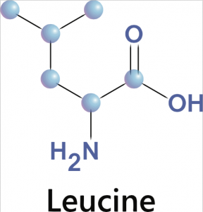 Leucine