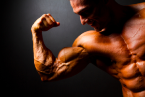 MuscleBuilding