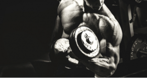 bw db curl