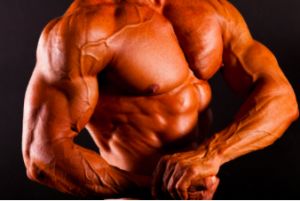 MuscleBuilding