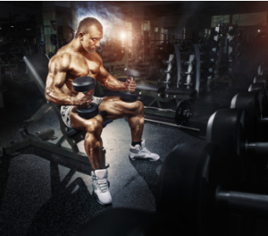 seated dumbbells