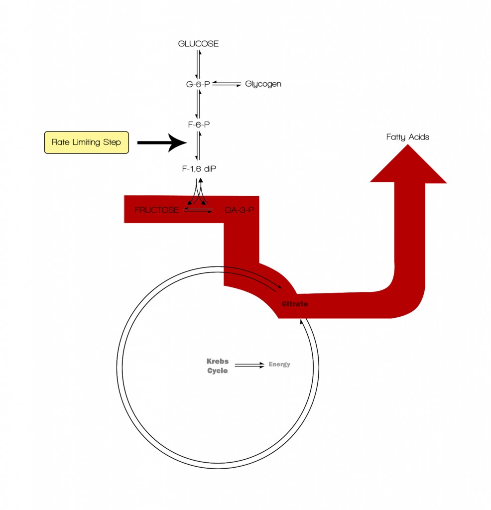 LiverFructose
