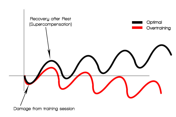 training response curve