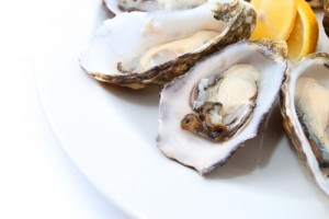 Oysters