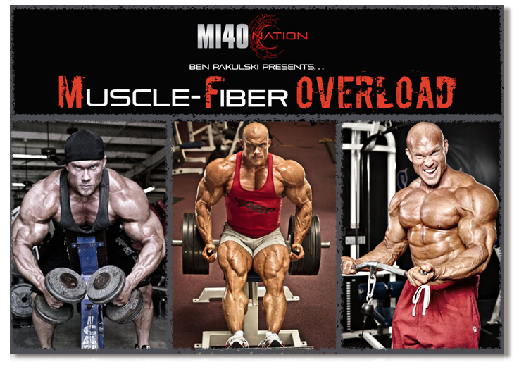 3d-cover-muscle-fiber-overload