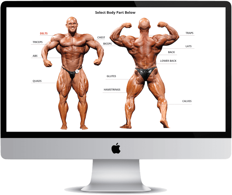 Mi40 Example Muscle Intelligence MI40 Nation