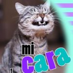 Profile picture of Freddy A Shenkler