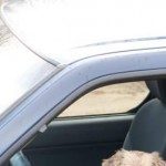 Profile picture of Scott Orchard