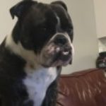 Profile picture of JOHN K